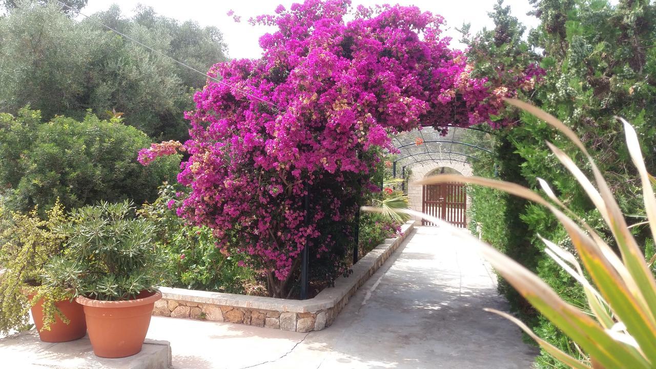 Apartamentos Villa Primera Cala Figuera  Εξωτερικό φωτογραφία